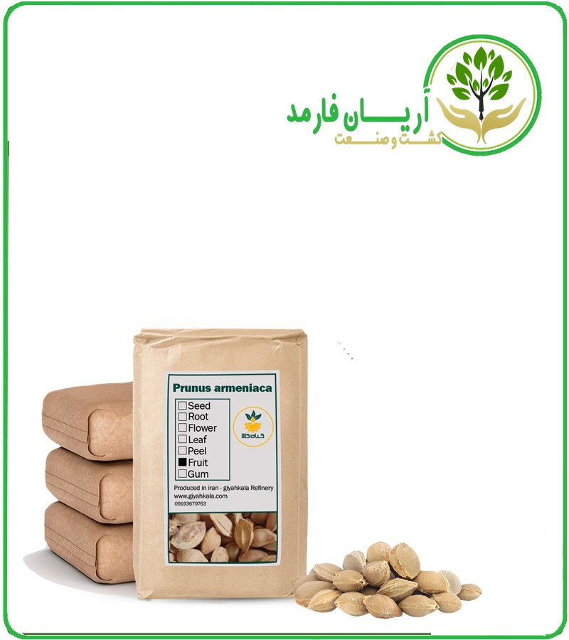 تصویر هسته زردآلو خشک فله 